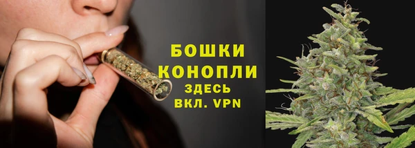 прущие крисы Арсеньев