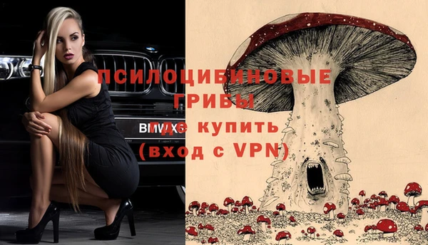 прущие крисы Арсеньев