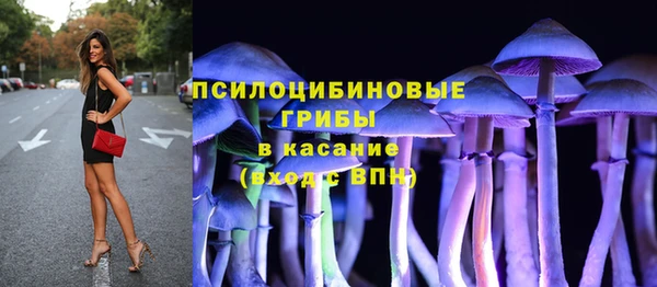 прущие крисы Арсеньев