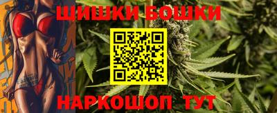 шишки Тайшет