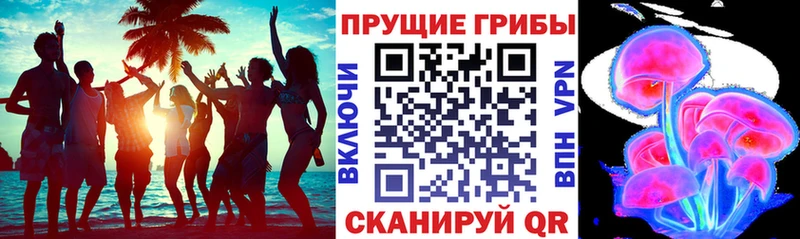 Псилоцибиновые грибы Psilocybe  Асбест 