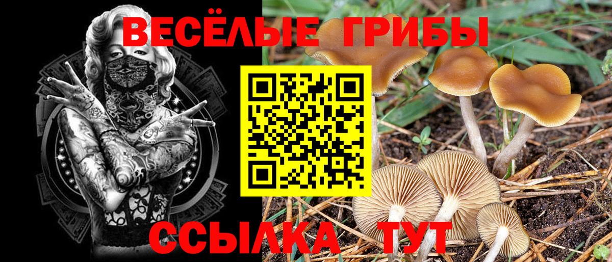 Псилоцибиновые грибы Cubensis  Вход с VPN  Асбест 